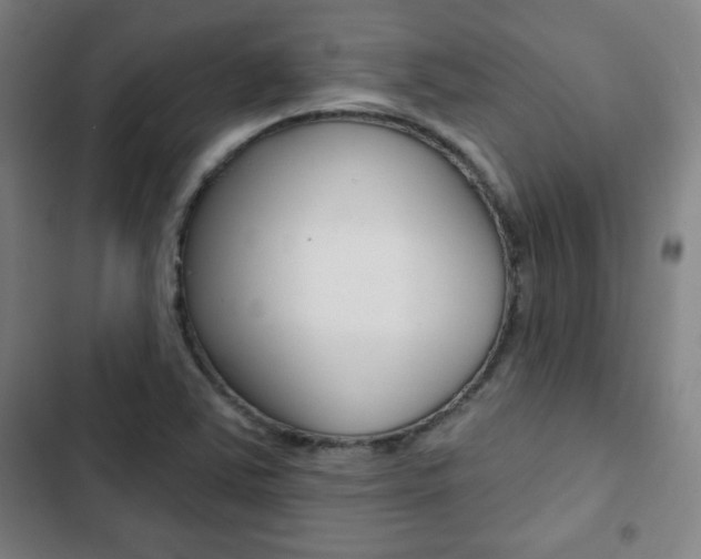 X0000103321363200809050950