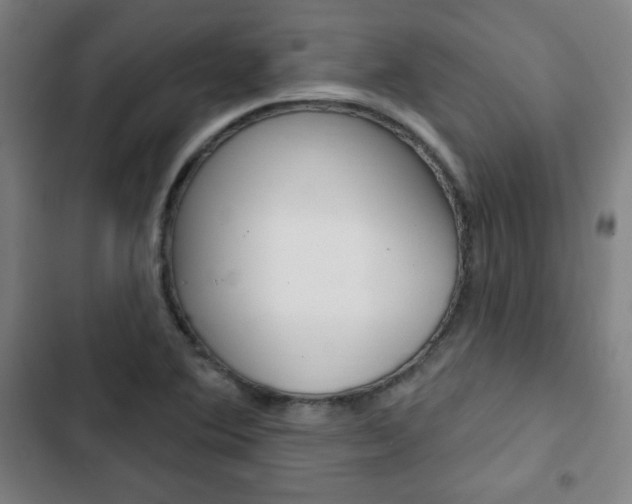 X0000103321364200809050950