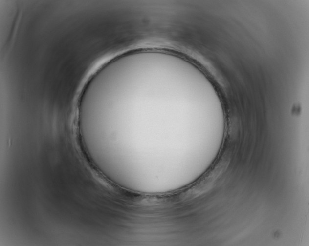 X0000103321366200809050950