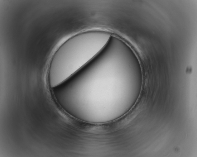 X0000103321367200809050950