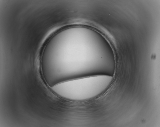 X0000103321368200809050950