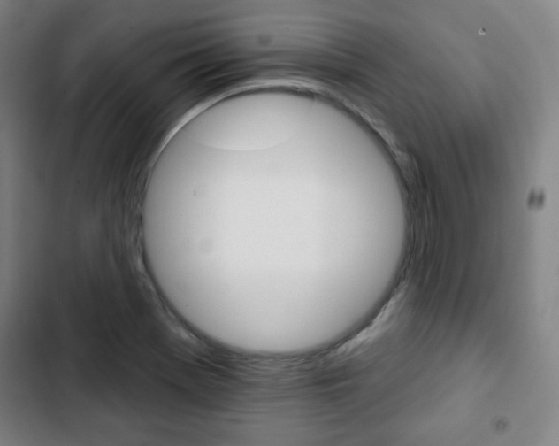X0000103321369200809050950