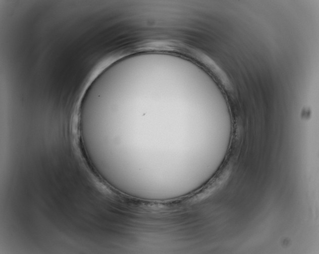 X0000103321370200809050950