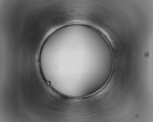 X0000103321373200809050949