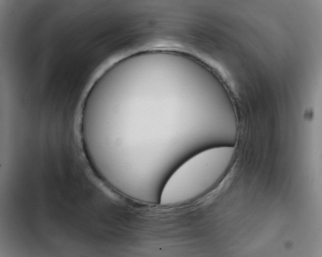 X0000103321374200809050949