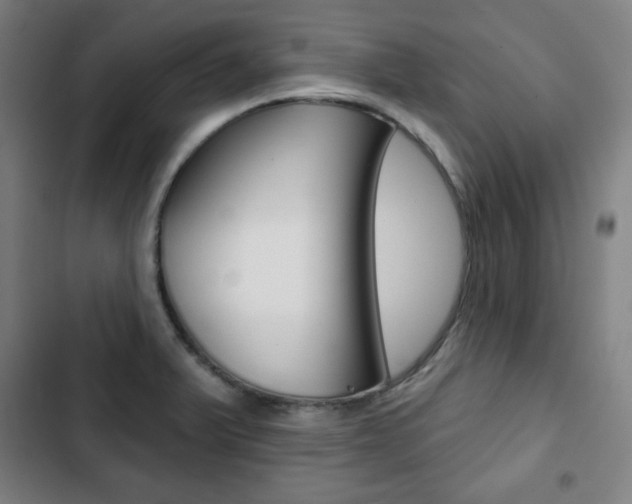 X0000103321375200809050949