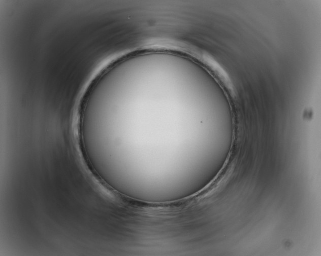 X0000103321376200809050949