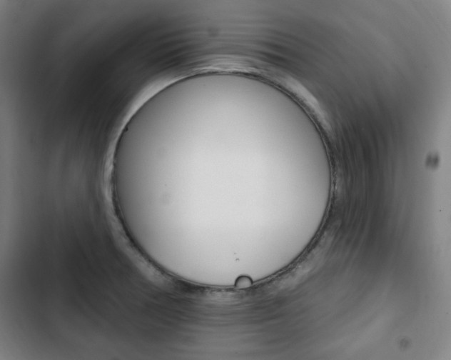 X0000103321378200809050949