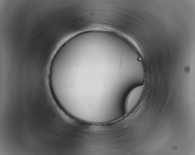 X0000103321379200809050949