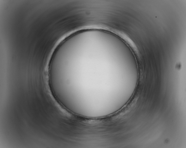 X0000103321380200809050949
