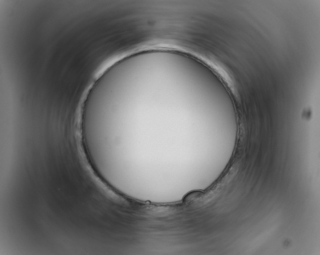 X0000103321382200809050949