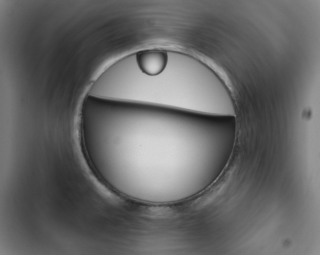 X0000103321383200809050949