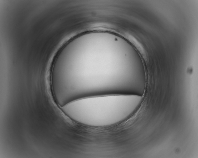 X0000103321384200809050949