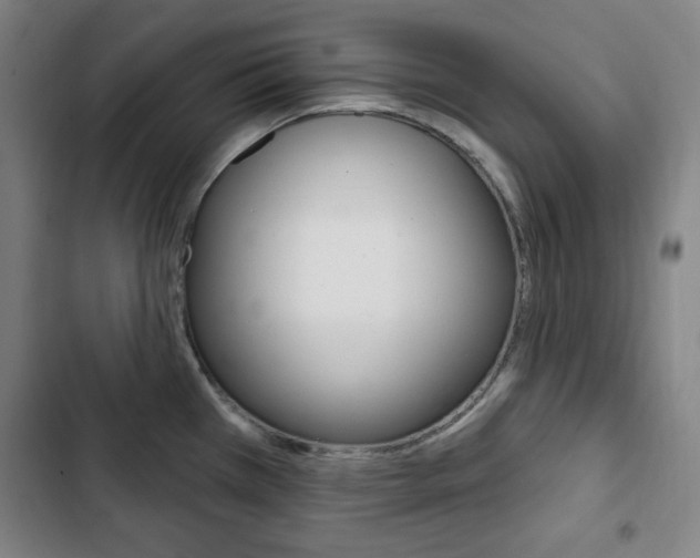 X0000103321385200809050949