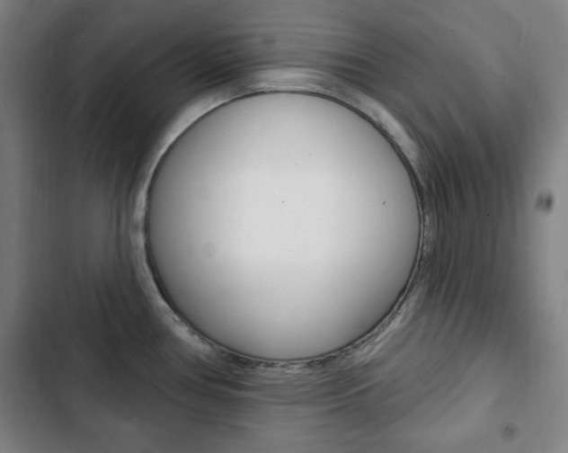 X0000103321386200809050949