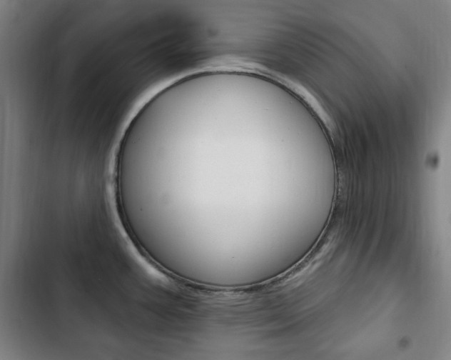 X0000103321387200809050949