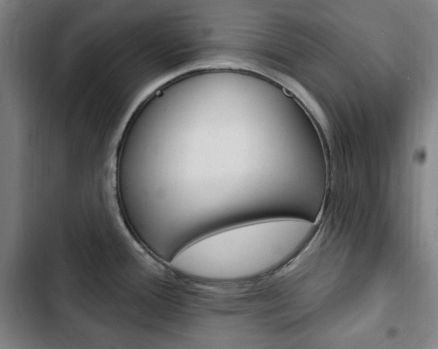 X0000103321388200809050949