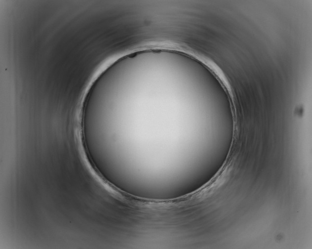 X0000103321389200809050949