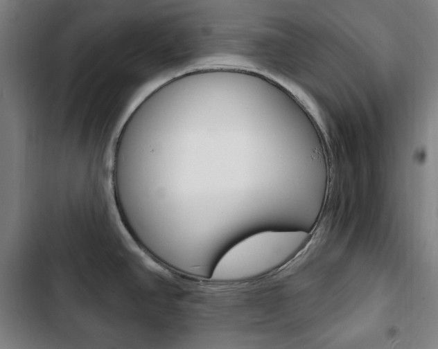 X0000103321390200809050949