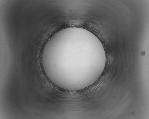 X0000103321393200809050948