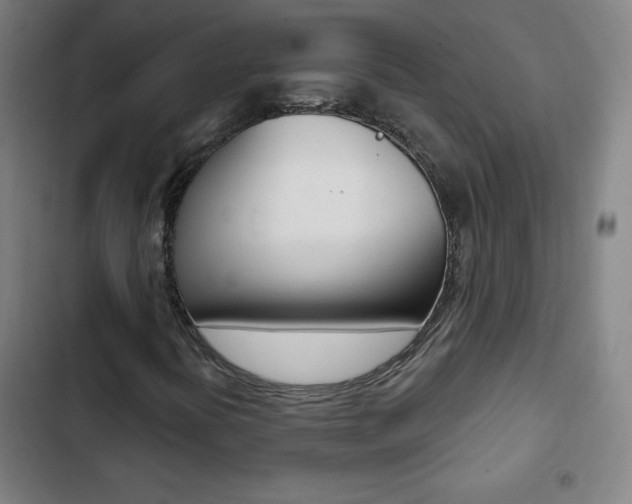 X0000103321394200809050948