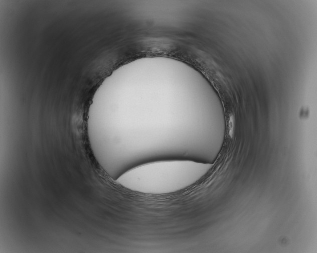 X0000103321395200809050948