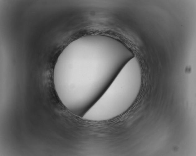 X0000103321397200809050948