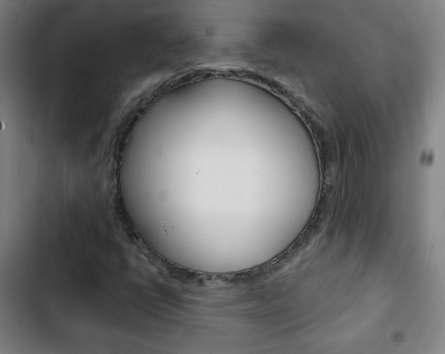 X0000103321398200809050948