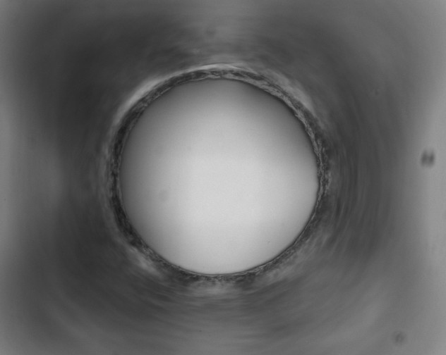 X0000103321400200809050948