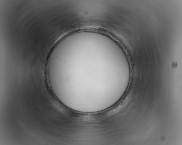 X0000103321401200809050948