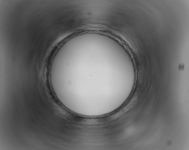X0000103321402200809050949