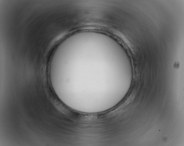 X0000103321403200809050949