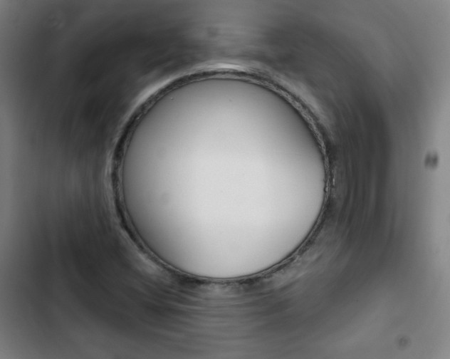 X0000103321404200809050949