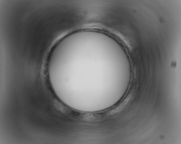X0000103321405200809050949