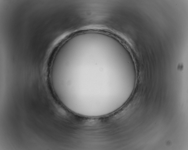 X0000103321406200809050949