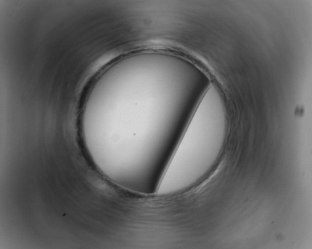 X0000103321410200809050949