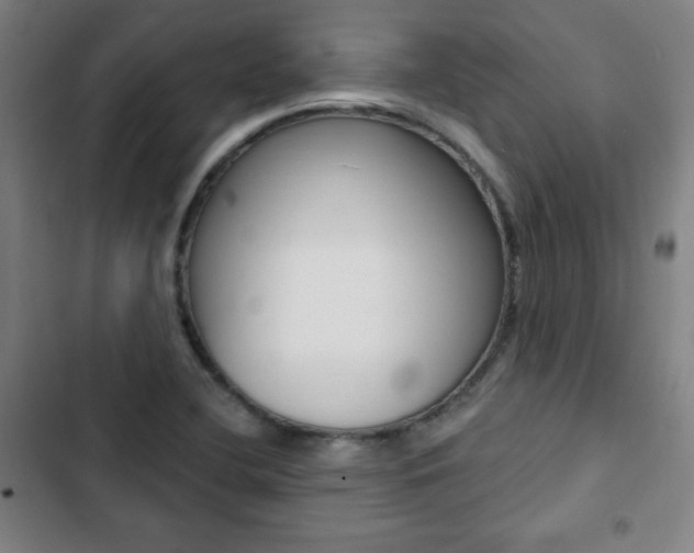 X0000103321412200809050949