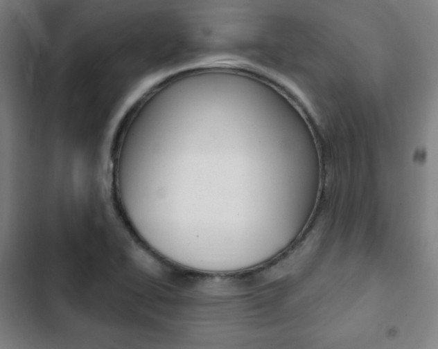 X0000103321414200809050949