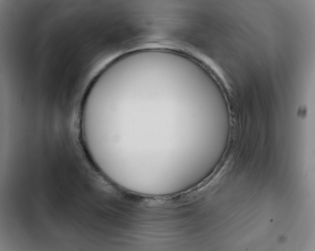 X0000103321415200809050949