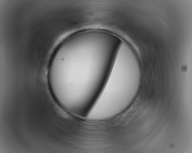 X0000103321416200809050949