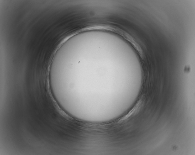 X0000103321417200809050949