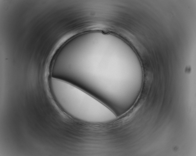 X0000103321418200809050949