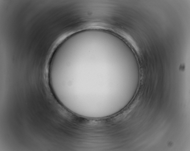 X0000103321419200809050949
