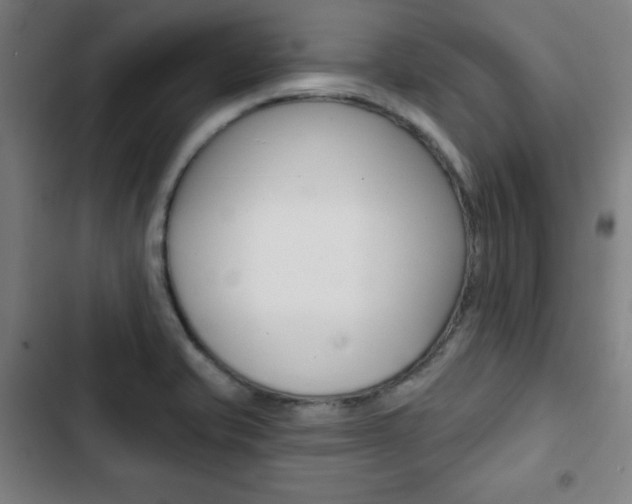 X0000103321421200809050949