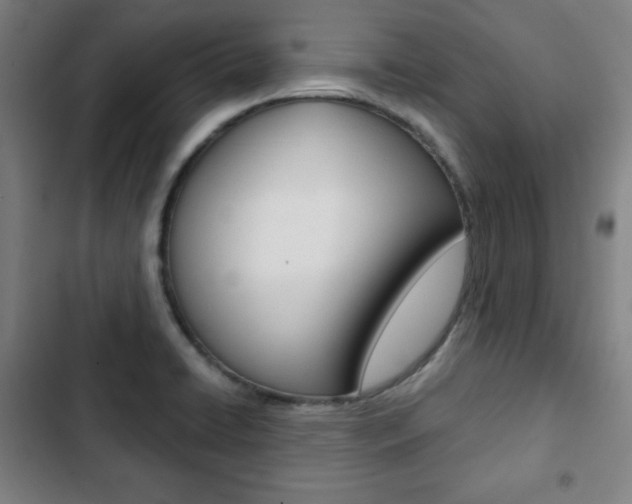 X0000103321422200809050949