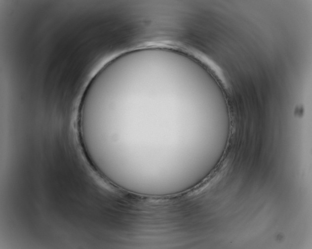 X0000103321423200809050949