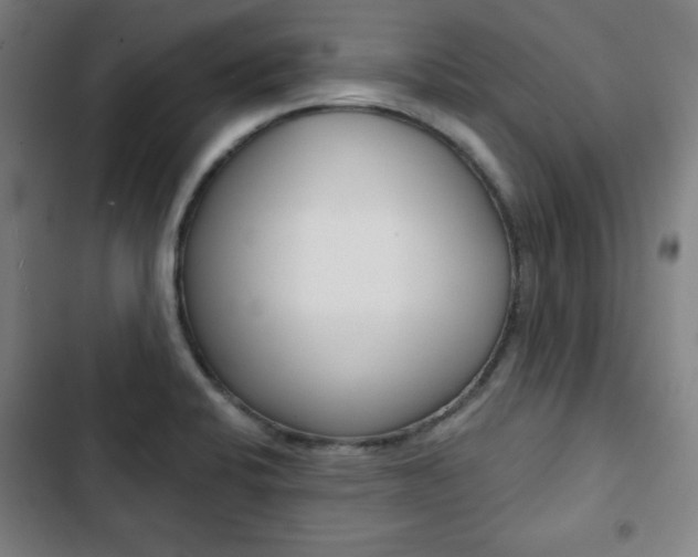 X0000103321424200809050949