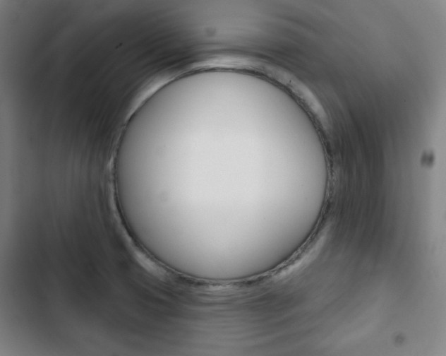X0000103321425200809050949