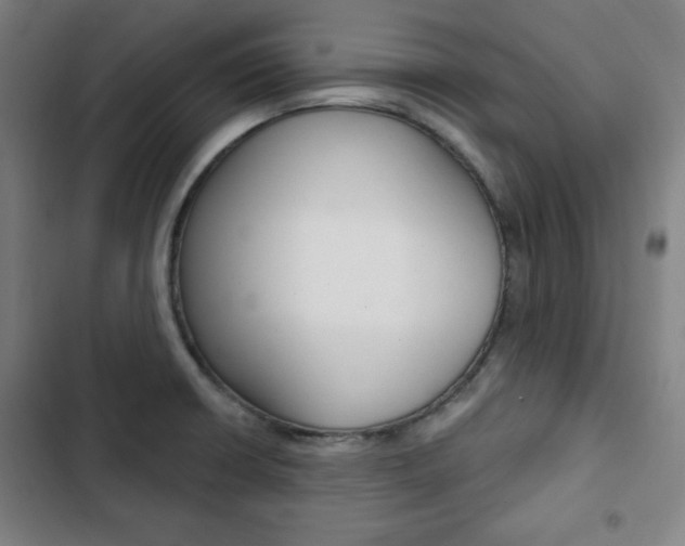 X0000103321426200809050949
