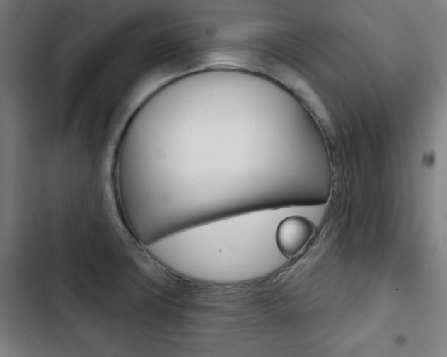 X0000103321427200809050949